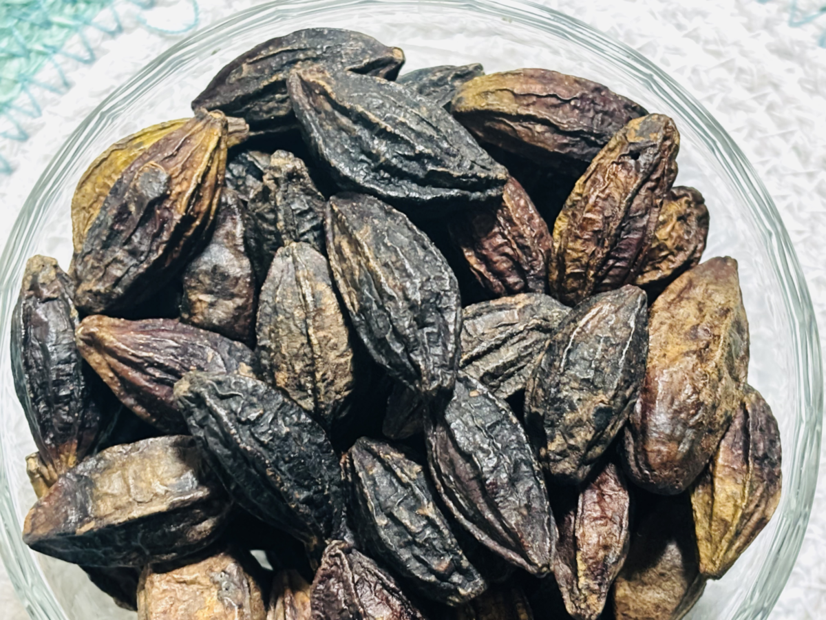 Raw Sun-Dried Hortoki (Sreemangal Grade) - Image 2